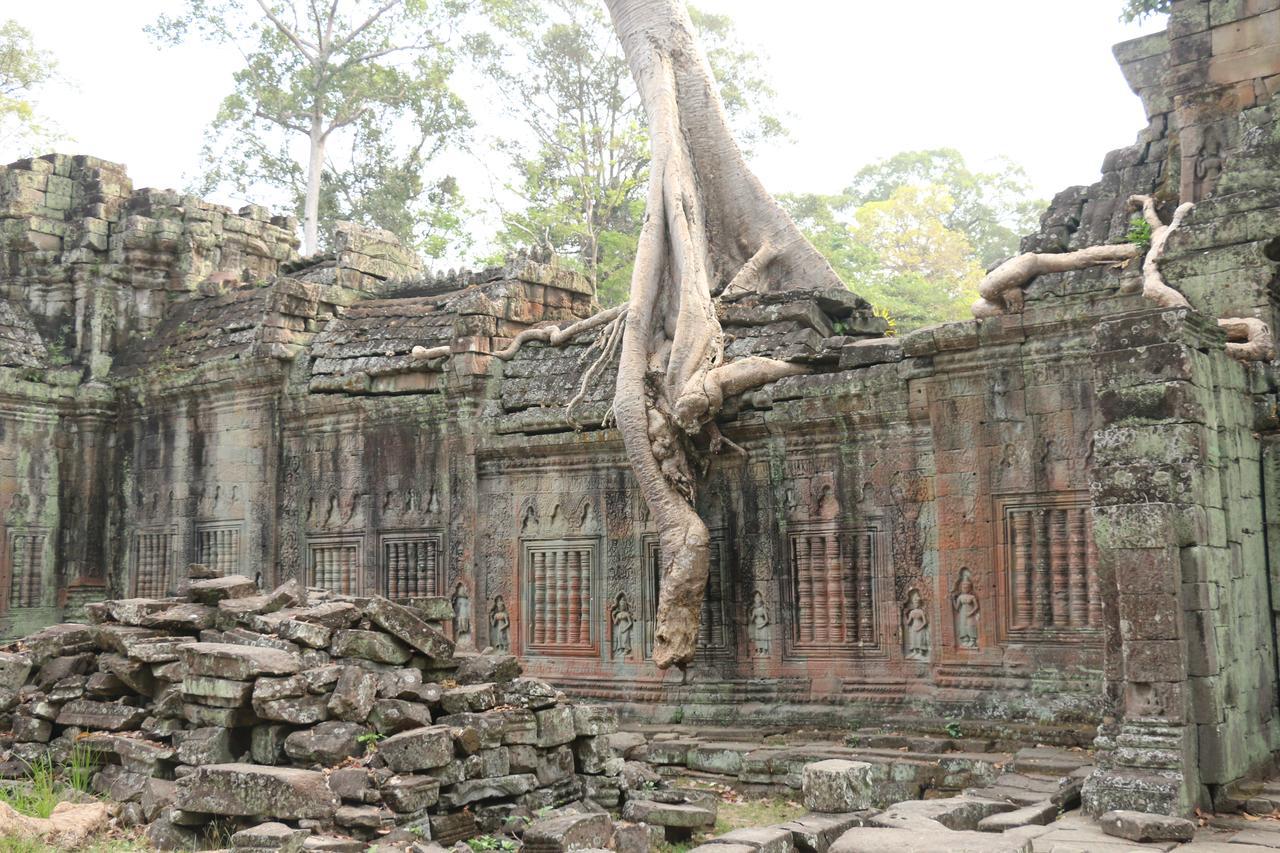 Vilada Angkor Boutique Siem Reap Dış mekan fotoğraf