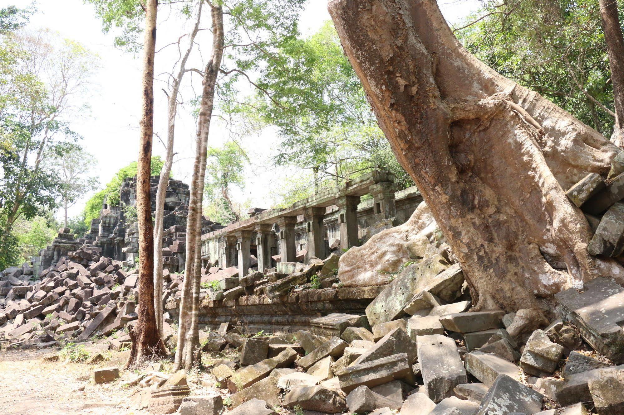 Vilada Angkor Boutique Siem Reap Dış mekan fotoğraf